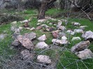photo thumbnail #13