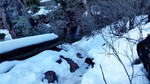 photo thumbnail #15
