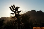 photo thumbnail #2