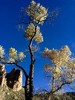photo thumbnail #14