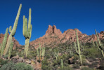 photo thumbnail #6