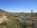 photo thumbnail #2