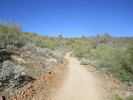 photo thumbnail #5