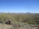 photo thumbnail #7