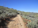 photo thumbnail #9