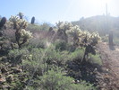 photo thumbnail #10