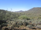 photo thumbnail #11