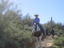 photo thumbnail #12