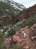 photo thumbnail #12