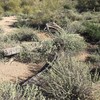 photo thumbnail #2