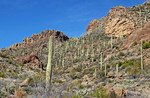 photo thumbnail #8