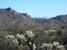 photo thumbnail #1