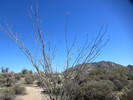 photo thumbnail #2