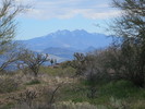 photo thumbnail #4