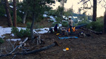 photo thumbnail #9