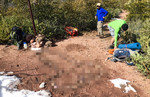 photo thumbnail #3