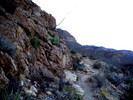 photo thumbnail #2