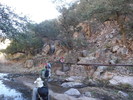 photo thumbnail #1