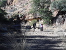 photo thumbnail #5