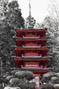 photo thumbnail #15