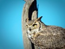 photo thumbnail #15