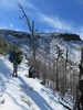 photo thumbnail #2