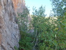 photo thumbnail #6