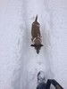 photo thumbnail #13