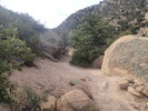 photo thumbnail #2
