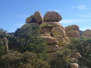 photo thumbnail #12