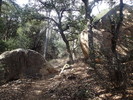 photo thumbnail #13