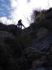 photo thumbnail #1