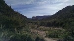 photo thumbnail #6