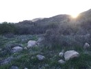 photo thumbnail #10