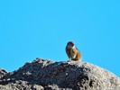 photo thumbnail #5