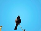 photo thumbnail #12