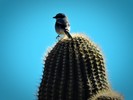 photo thumbnail #14