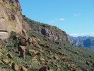 photo thumbnail #11