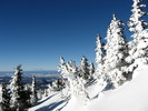 photo thumbnail #14