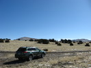photo thumbnail #5