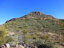 photo thumbnail #8