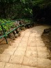 photo thumbnail #12