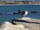 photo thumbnail #14