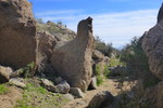 photo thumbnail #5