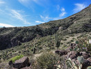 photo thumbnail #6