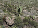 photo thumbnail #13