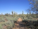 photo thumbnail #4