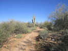 photo thumbnail #6