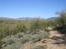 photo thumbnail #8