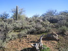 photo thumbnail #13